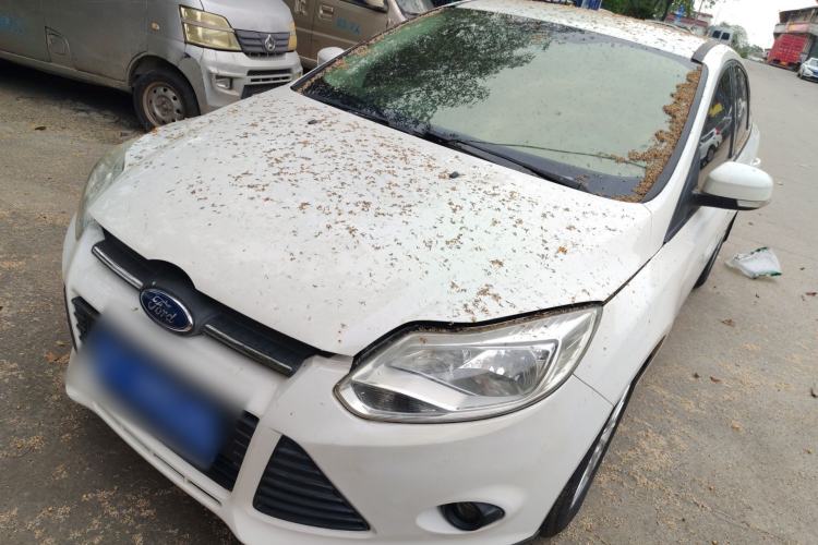 Used Ford Focus 2012 Sedan 1.6L Automatic Comfort Model