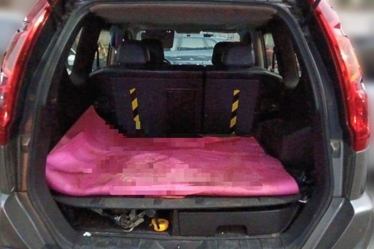 Used Nissan X-Trail 2010 2.5L CVT Luxury Edition 4WD