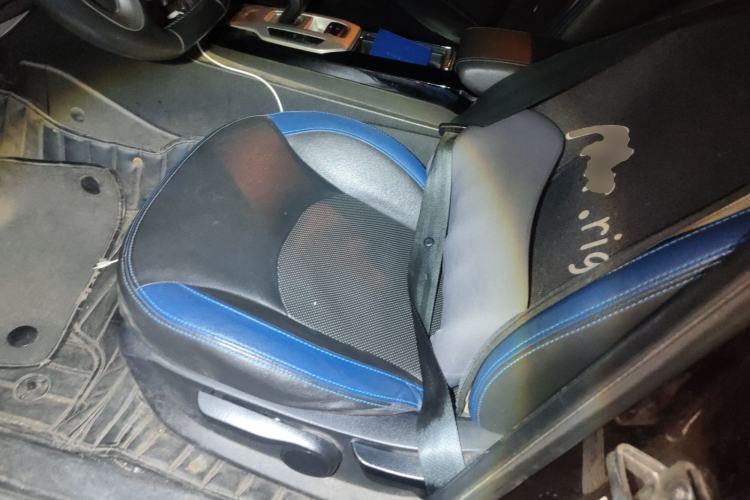 Used Geely Auto Emgrand New Energy 2017 EV300 Elite Model