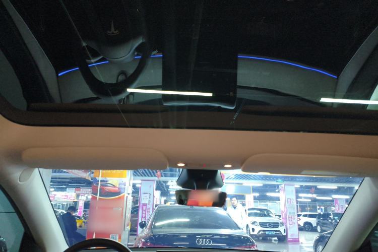 Used Tesla Model Y 2024 Rear-Wheel-Drive Version Headliner