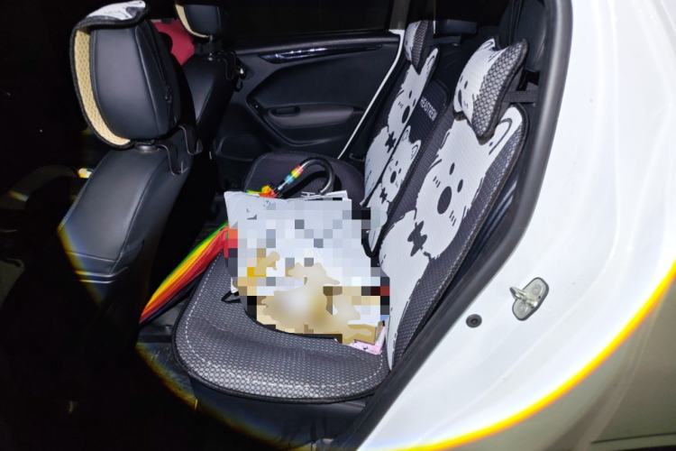 Used Citroen C3-XR 2019 1.6L Automatic Enjoyment Version Left Rear Seat