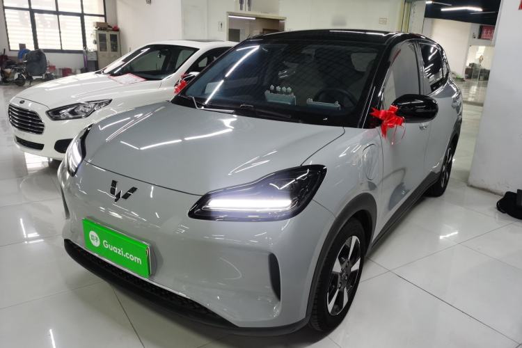 Used Wuling Bingo PLUS 2024 330 km Range Five-Seater Version