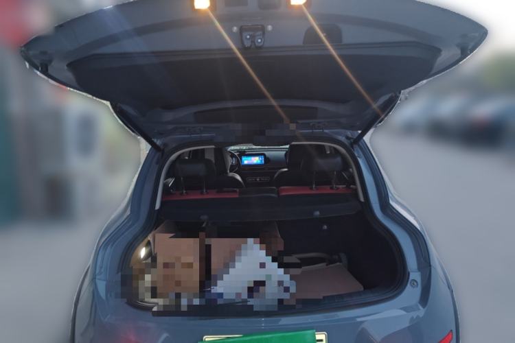 Used ORA Good Cat GT 2022 Mulan Edition 480km Long-Range续航
