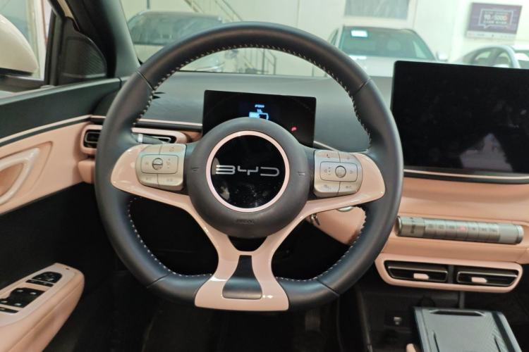 Used BYD Seagull 2023 Free Edition
