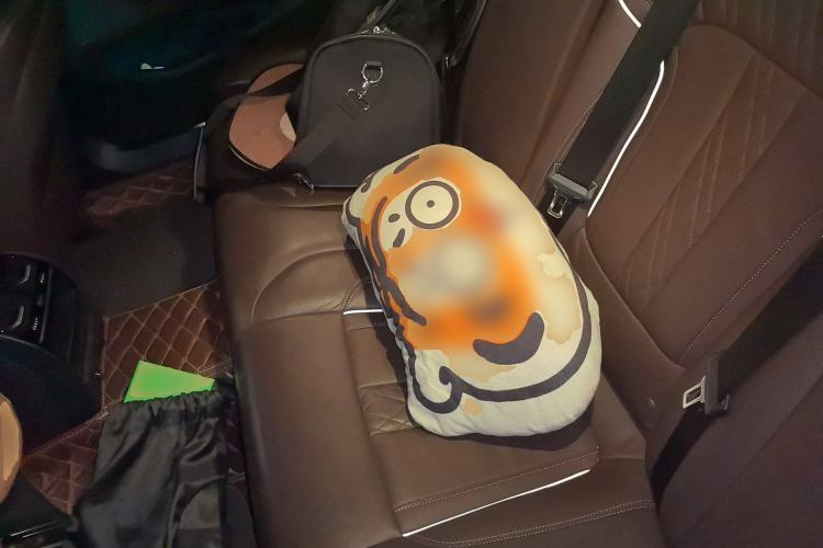 Used BMW 5 Series New Energy 2019 530Le Luxury Package