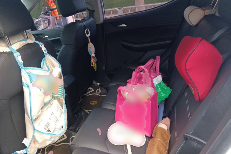 Used BYD Yuan New Energy 2019 EV535 High-Energy Leading Edition Left Rear Seat