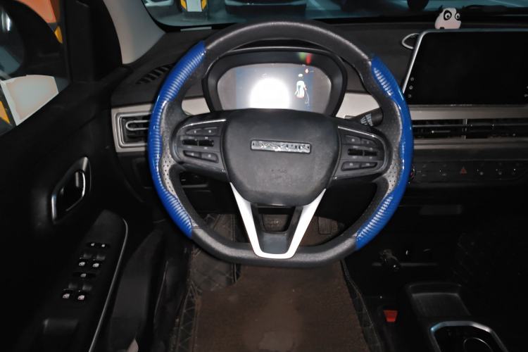 Used Dayun Yuehu 2021 32.85 kWh Two-Wheel-Drive Sprite Version Steering Wheel