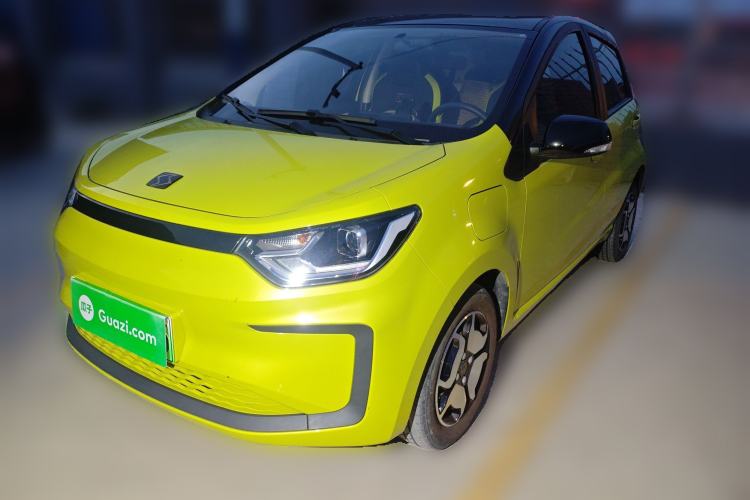 Used SOL E10X 2022 Flower Fairy Style Baby's Breath