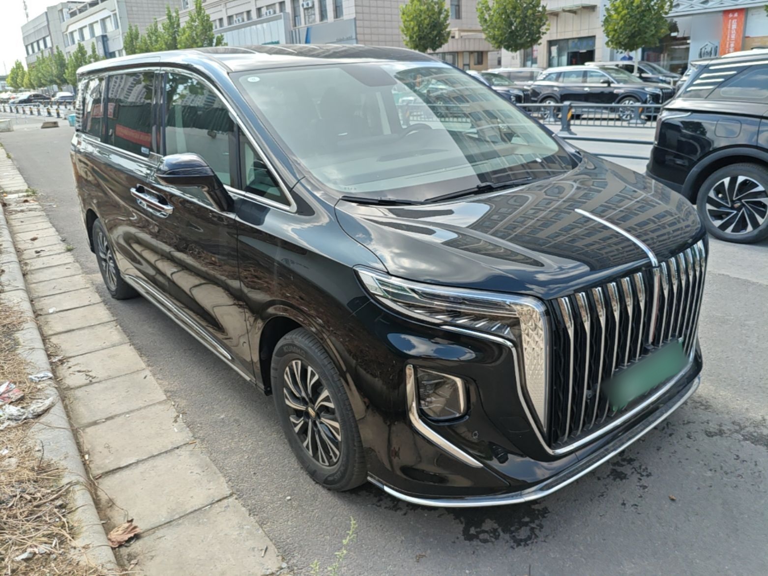 Hongqi HQ9 PHEV 2024 2.0T Four-Wheel Drive Business Edition — снимка 3