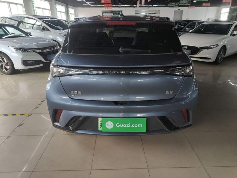 Used BYD Dolphin 2024 Honor Edition 420km Freedom Version — 5