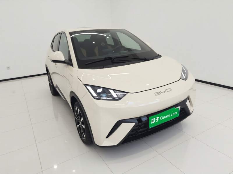 Used BYD Seagull 2024 Honor Edition 305km Freedom Version — 3
