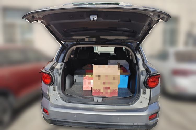 Used Haval H Dog 2023 2.0T Two-Wheel Drive Chaoye Version Plus