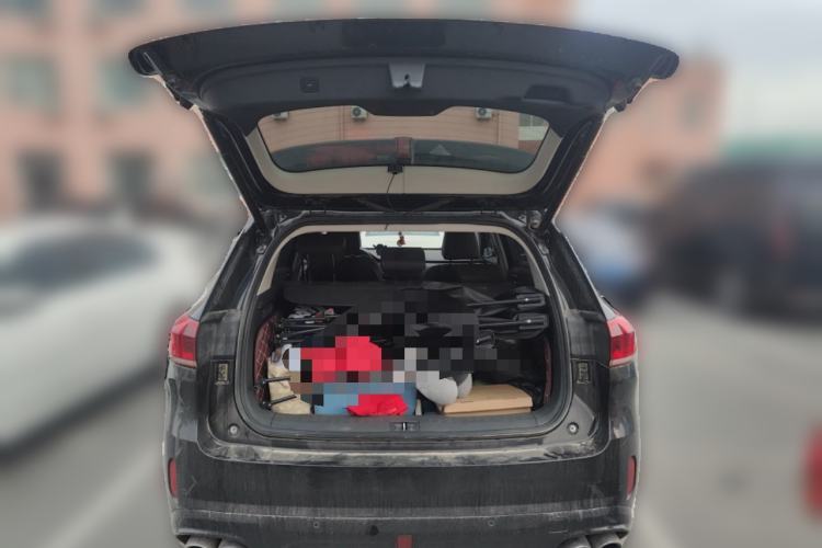 Used Wey VV6 2021 2.0T Two-Wheel Drive Smart Protection+
