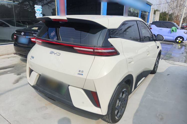 Used BYD Seagull 2025 Smart Drive Version 305 km Freedom Edition
