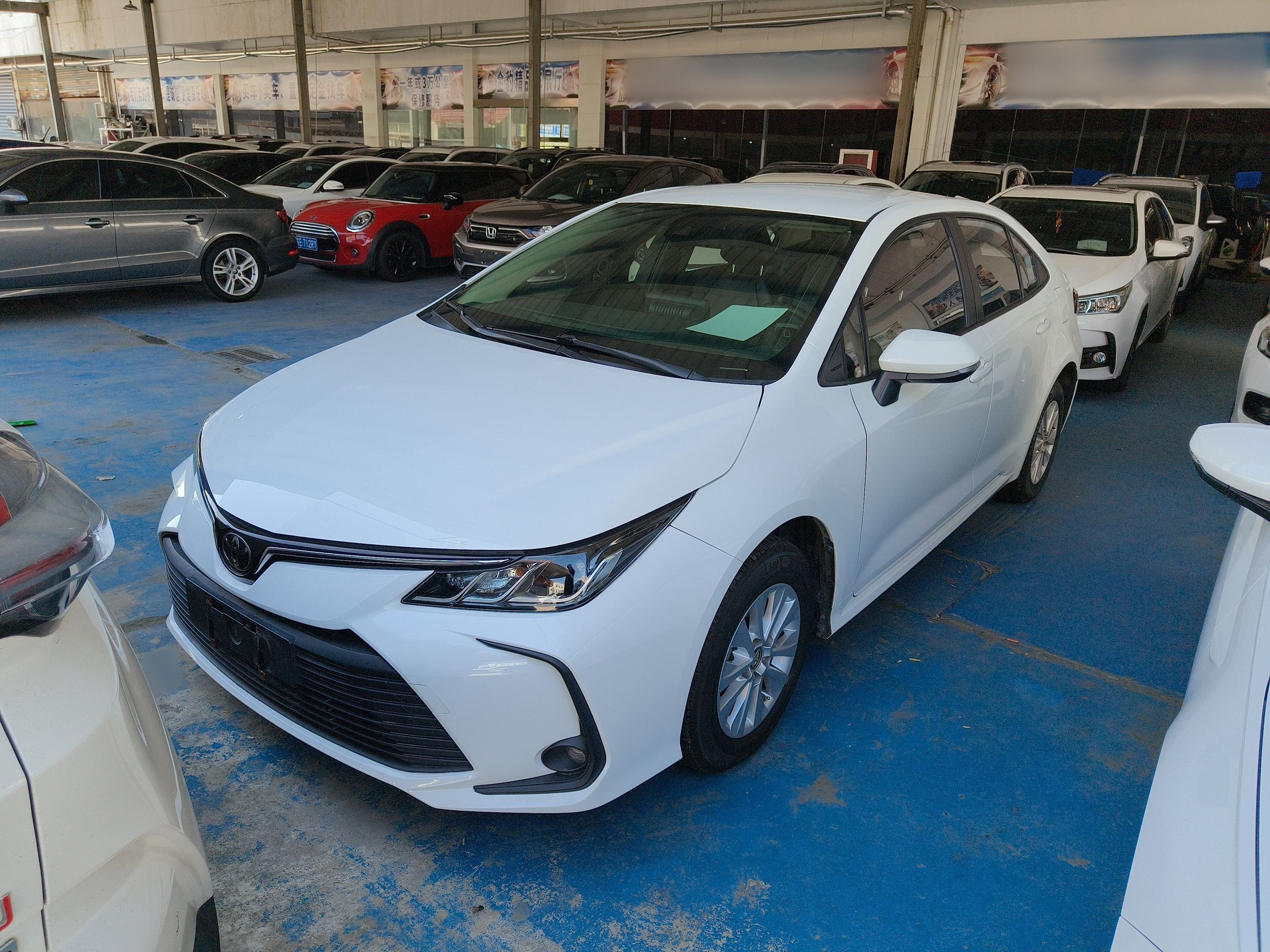 Parte inferior delantera