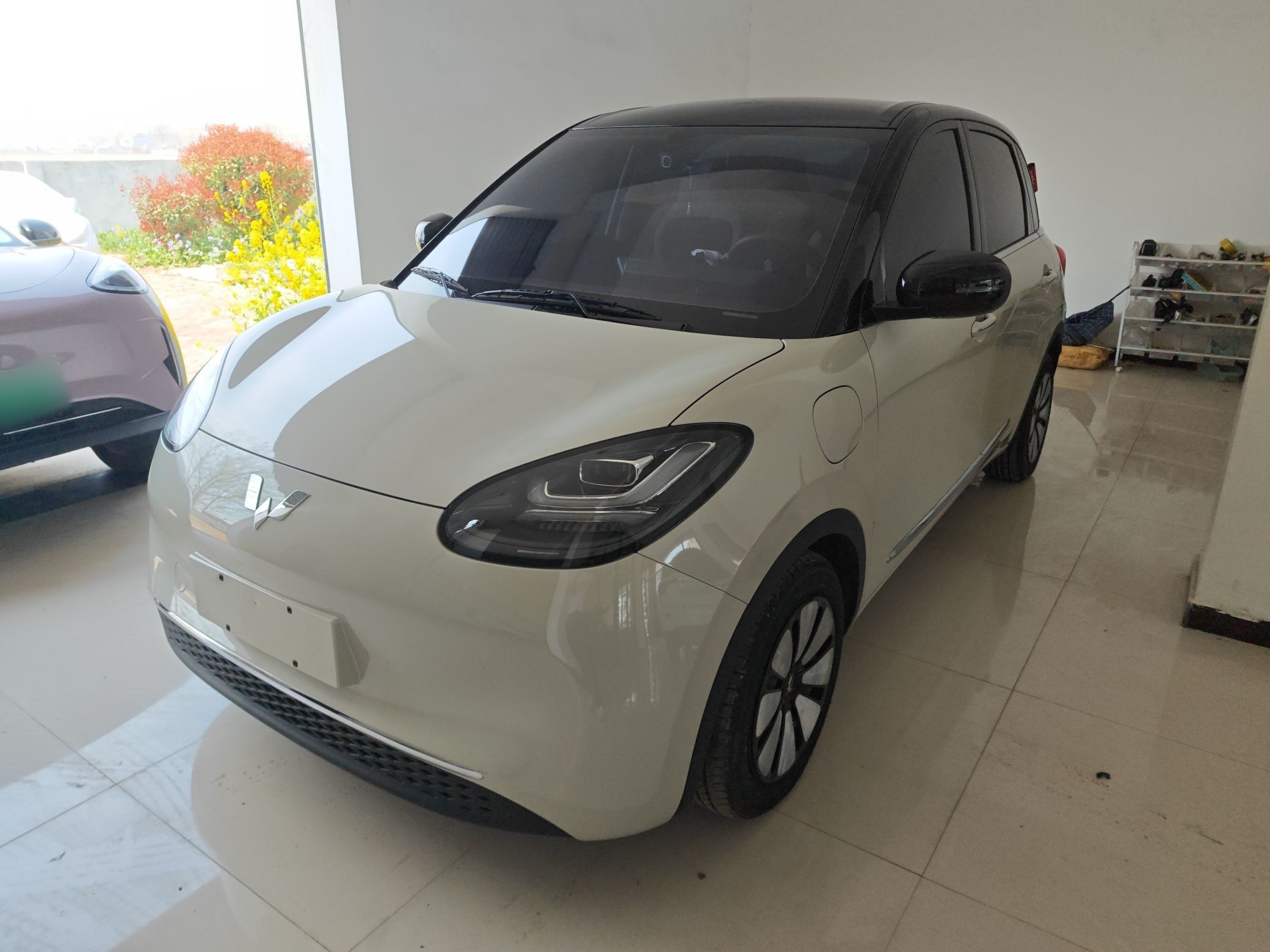 تحت مقدمة السيارة