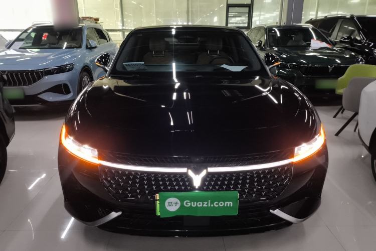 Used VOYAH PASSION 2024 PHEV Four-Wheel Drive Ultra-Long Range Flagship Model
