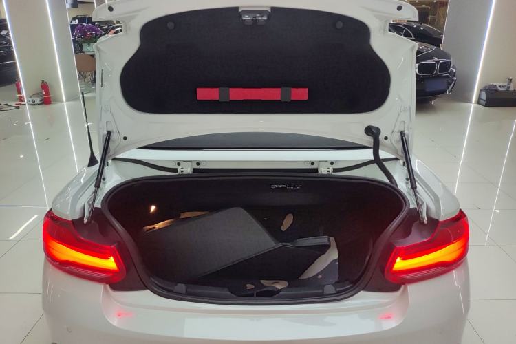 Used BMW 2 Series 2019 225i Convertible Coupe Luxury Edition M Sport Package
