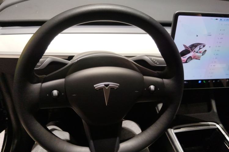 Used Tesla Model Y 2021 Standard Range Rear-Wheel Drive Version
