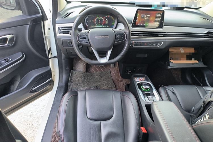 Used Dayun Yuehu 2021 32.85 kWh Two-Wheel-Drive Sprite Version