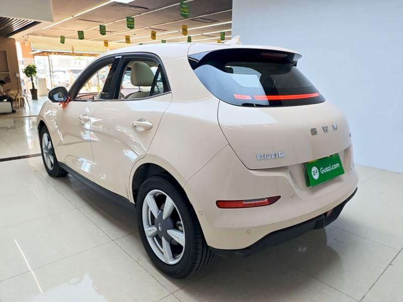 Used ORA Good Cat 2025 Model, 430 km Prestige Version — 4