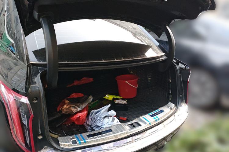 Used Hongqi E-QM5 2023 620km PLUS
