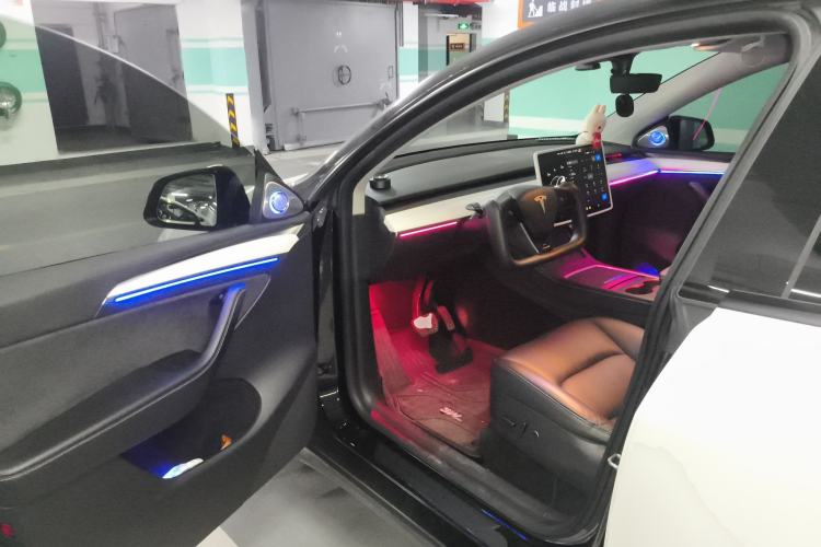 Used Tesla Model Y 2021 Standard Range Rear-Wheel Drive Version
