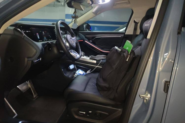 Used VOYAH FREE 2021 Two-Wheel Drive Standard Pure Electric City Edition