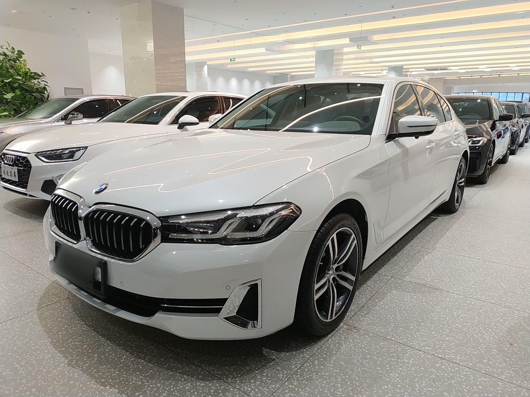 Parte inferior delantera