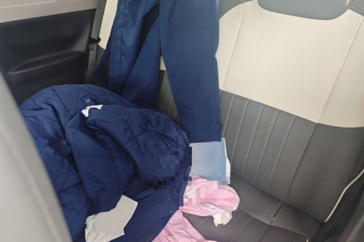 Used Geely Galaxy Panda 2025 210km Panda Rider Left Rear Seat