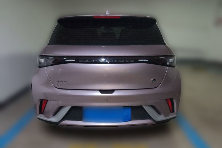 Used BYD Dolphin 2021 405 km Fashion Edition Rear