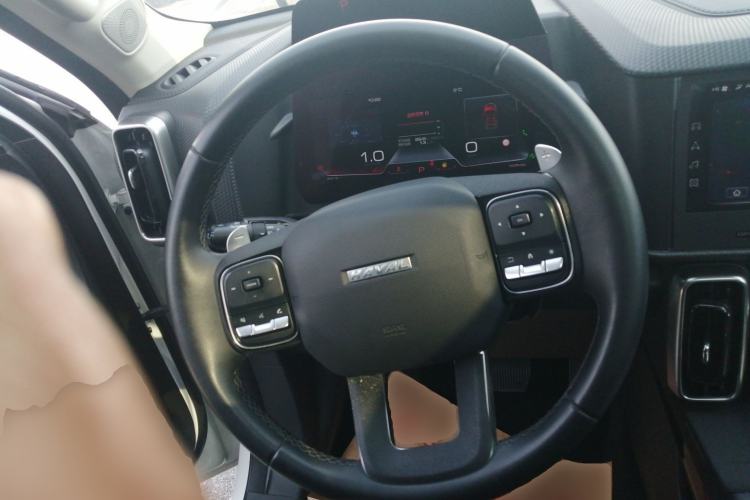 Used Haval DARGO 2022 1.5T DCT Two-Wheel Drive Mastiff Edition
