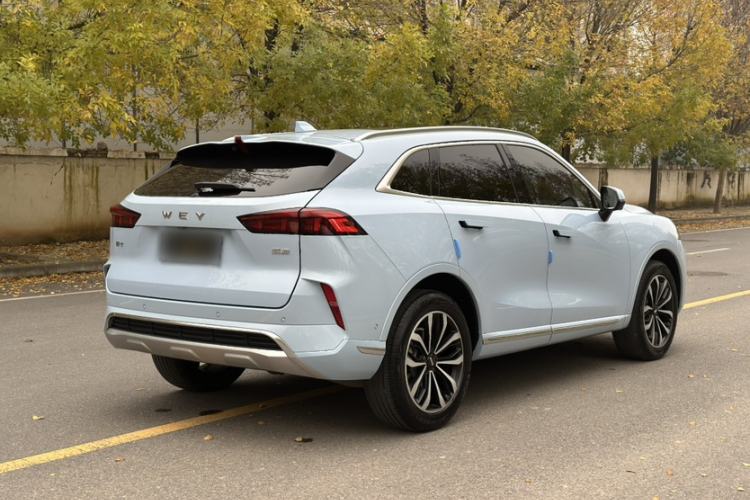 Used Wey Mocha 2021 2.0T Two-Wheel-Drive Premium Edition
