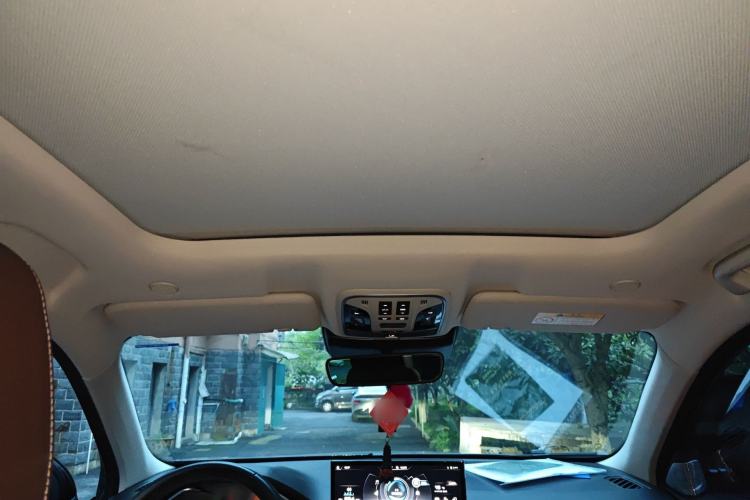 Used Wey VV6 2020 2.0T Two-Wheel Drive Smart Enjoyment+ Headliner