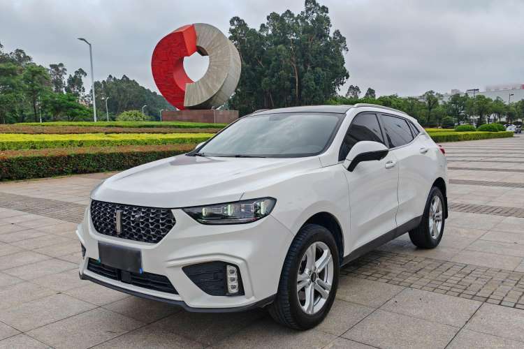 Used Wey VV5 2020 1.5T Two-Wheel Drive Color Pioneer