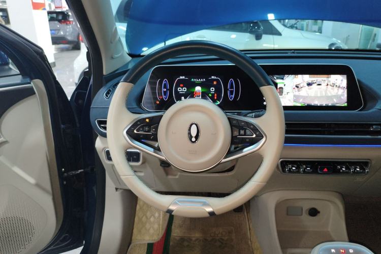 Used ORA Good Cat 2021 400km Standard Range Venus Edition Lithium-Ion Battery
