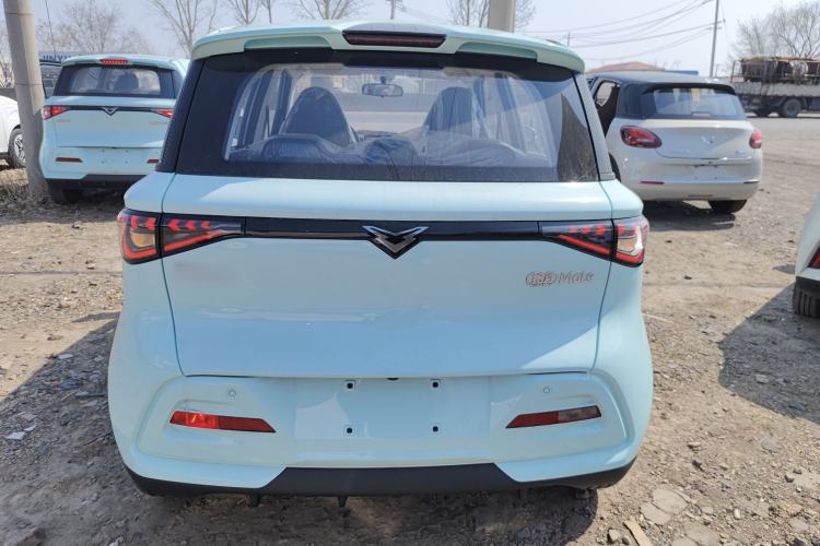 Used Cowin October 2025 Mate 300km Surfing Edition