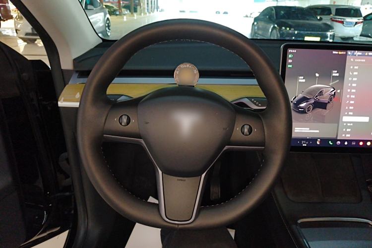 Used Tesla Model Y 2022 Rear-Wheel-Drive Version