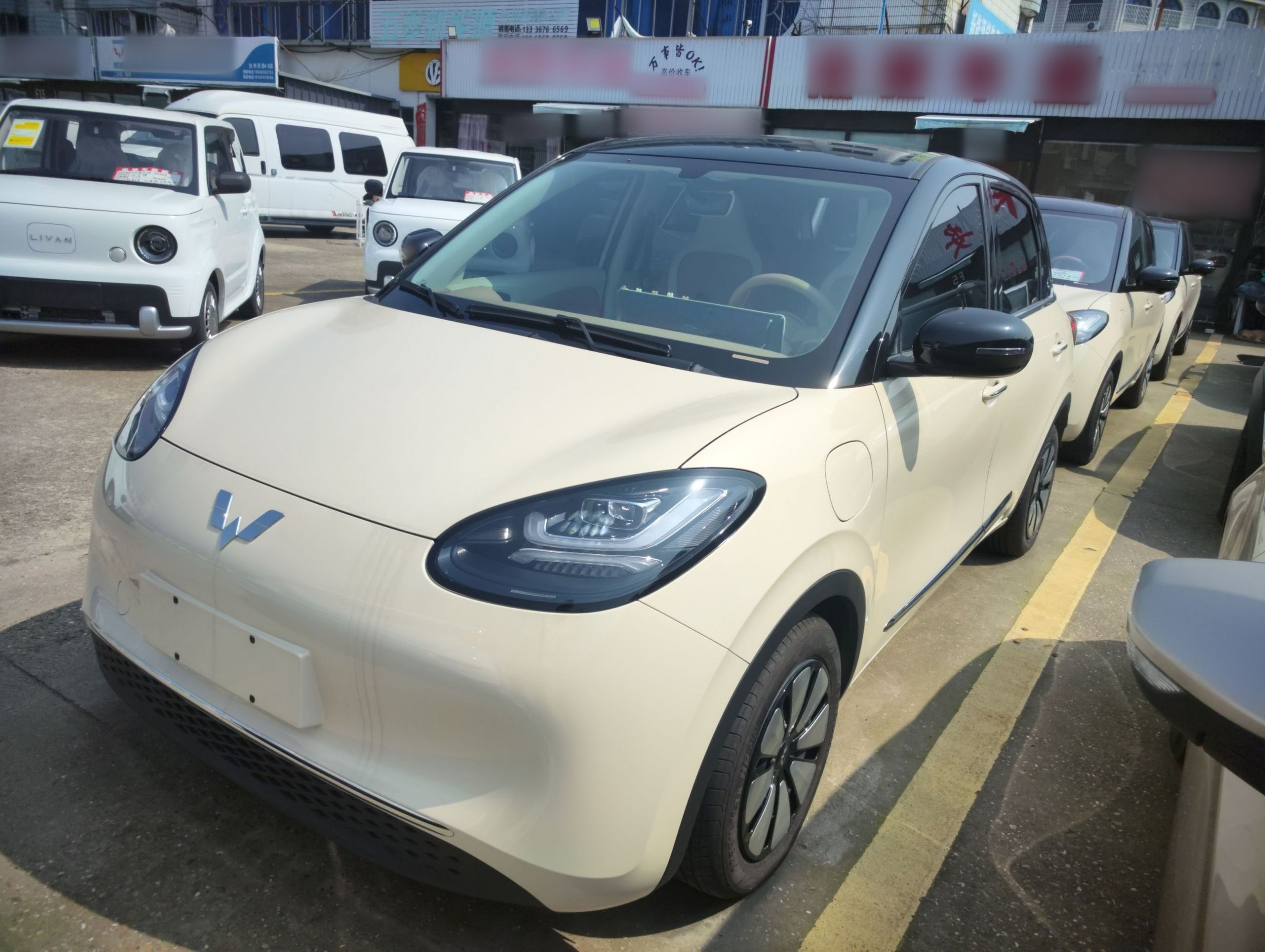 Parte inferior delantera