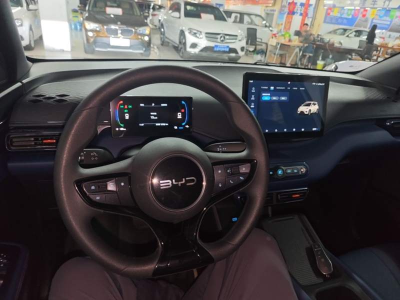 Used BYD Seagull 2025 Intelligent Driving Version 305 km Dynamic Edition — 9