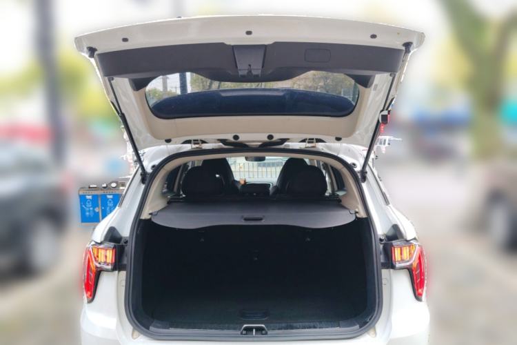 Used Lynk & Co 01 2020 2.0T Two-Wheel Drive Pure Pro Version China VI Standard