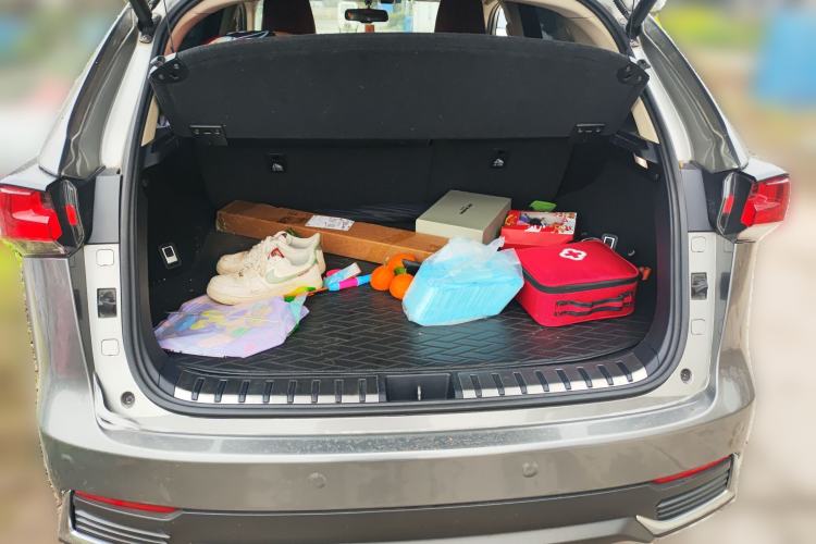 Used Lexus NX 2018 200 Front-Wheel-Drive X-Trail Version China V Standard
