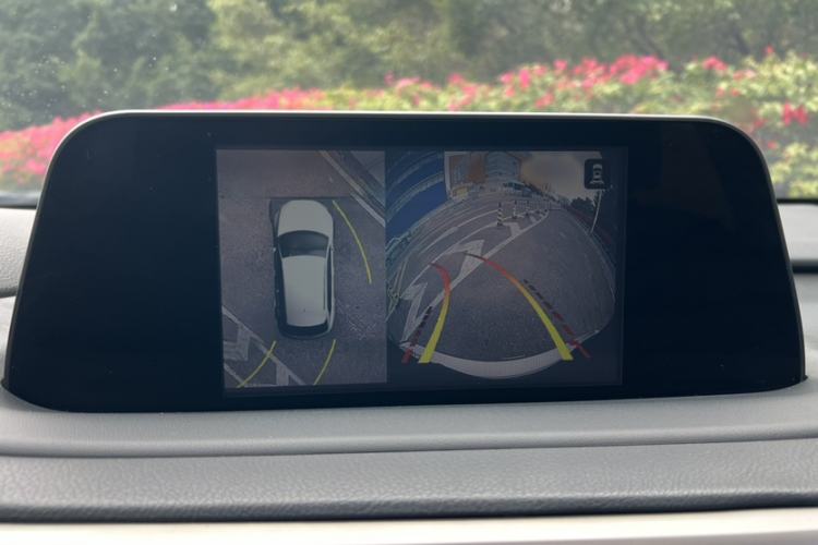 Used Lexus RX 2020 300 Two-Wheel Drive Comfort Edition China VI Standard