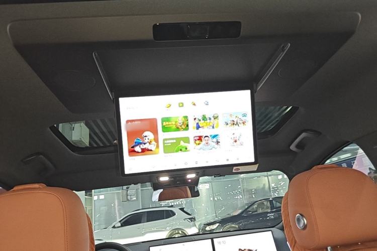 Used Li Auto L9 2024 Pro Model Headliner