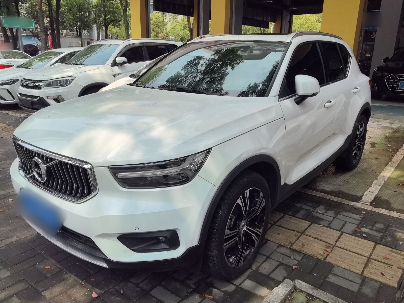 Parte inferior delantera