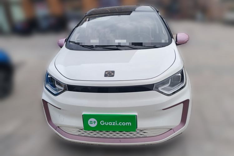 Used SOL E10X 2022 Flower Fairy Design Four-Leaf Clover Front