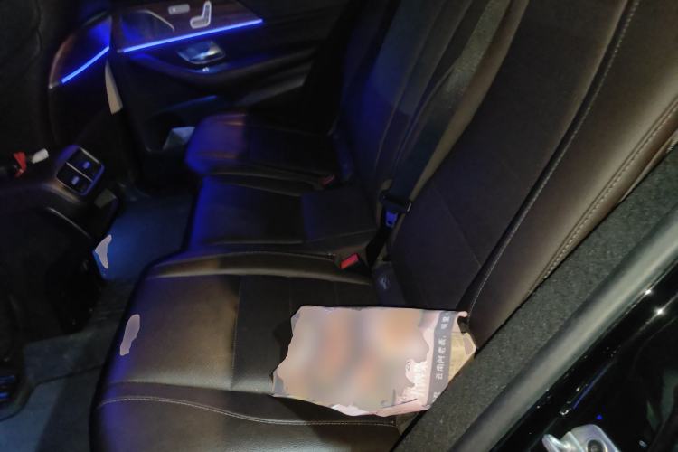 Used Mercedes-Benz GLE New Energy 2023 GLE 350 e 4MATIC Left Rear Seat