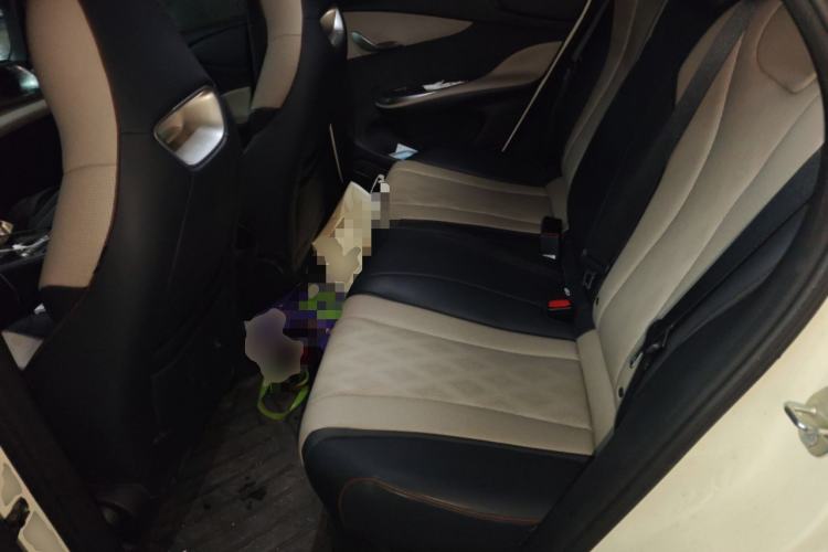 Used BYD Dolphin 2024 Honor Edition 420km Freedom Version Left Rear Seat