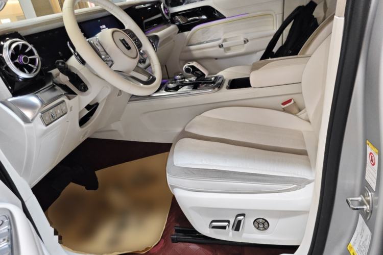 Used Cyberspace Tank 300 2021 2.0T Cyber Tank
