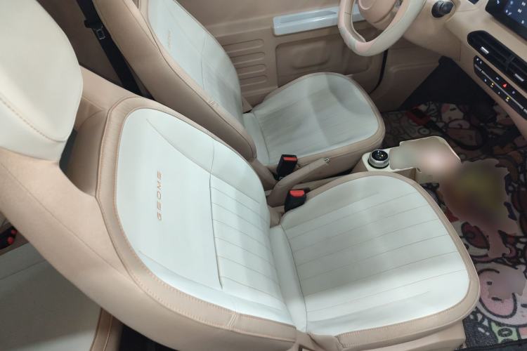 Used Geely Galaxy Panda 2024 200km Panda Kart Right Front Seat